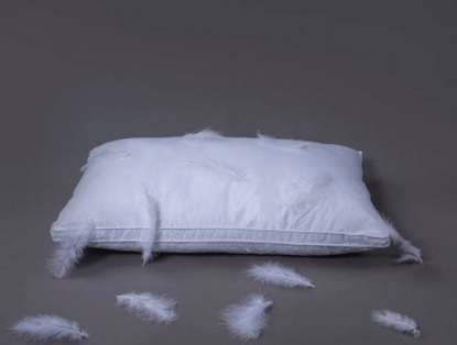Picture of Natural Goose Down Feather Pillows